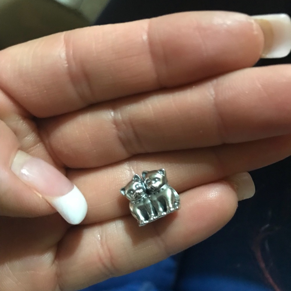 Purrfect Together Kittens Charm Pandora