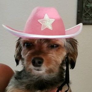 Meet your Posher, Maureen