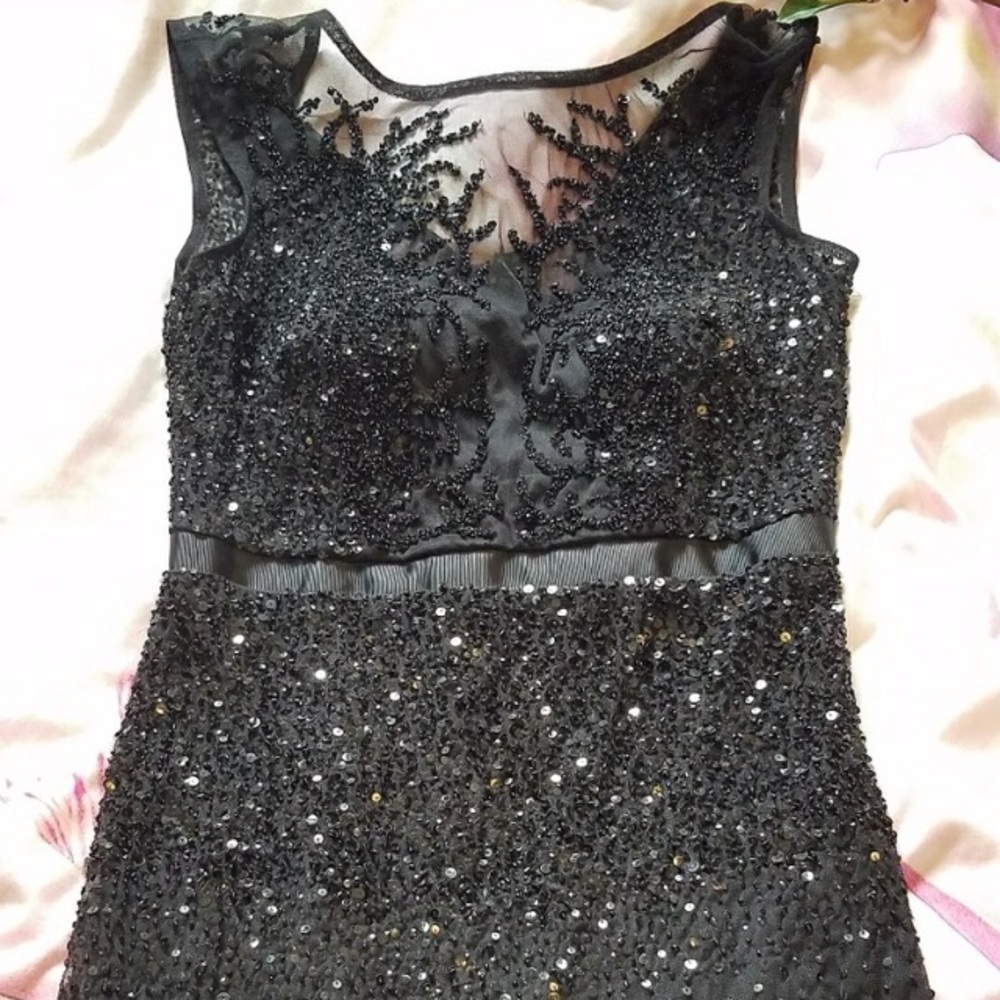 Adrianna Papell Beaded Gown (Size 6)