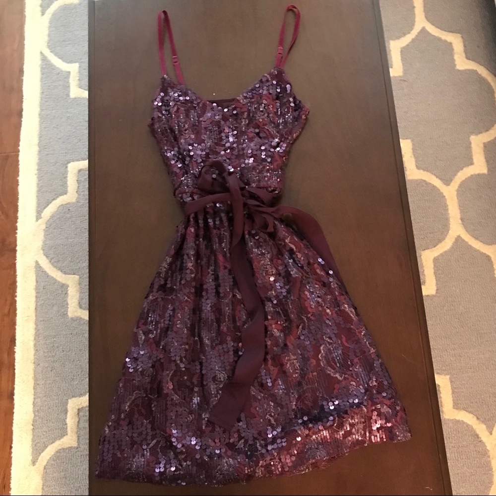 Beautiful Sequins Dress
