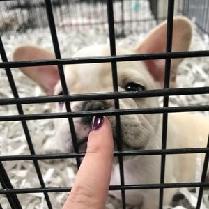 Meet your Posher, Alli