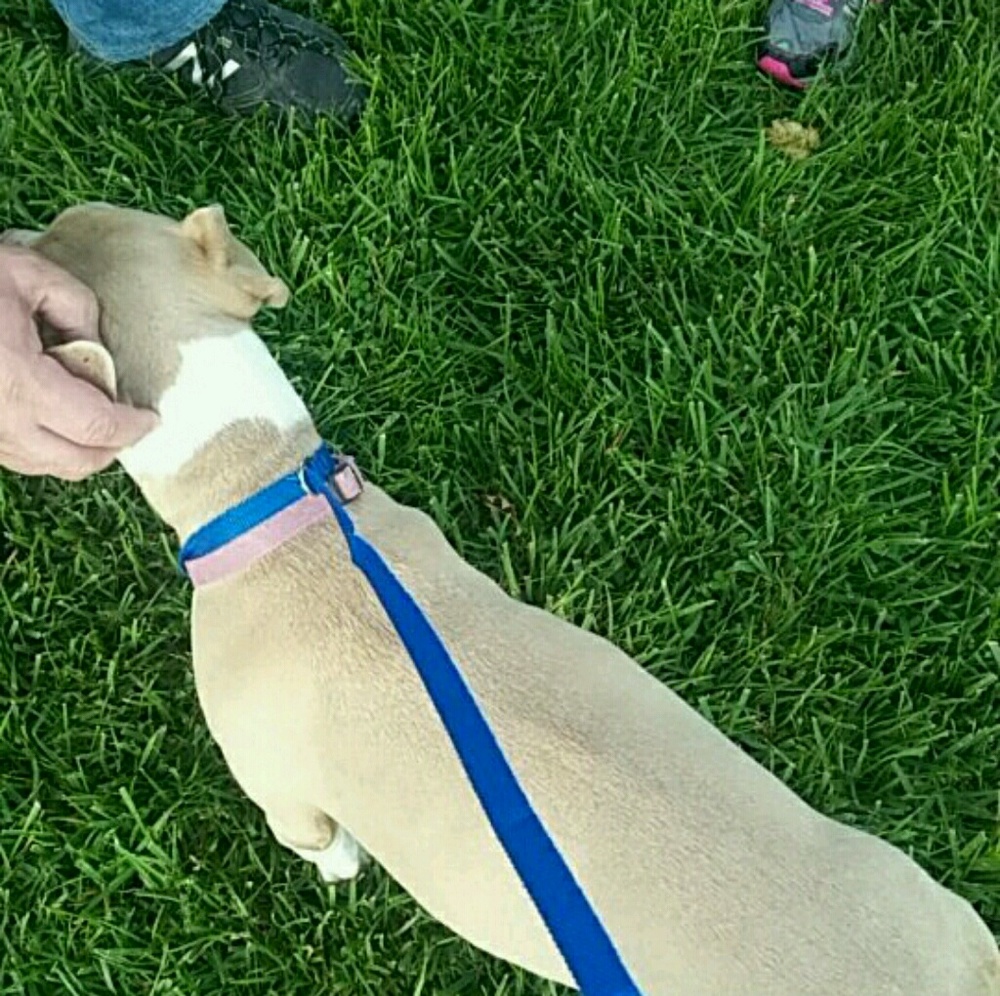 Meet your Posher, Madison