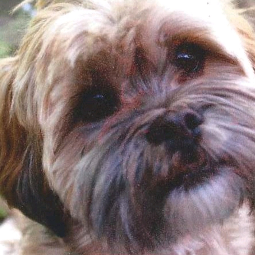 Meet your Posher, Christyn