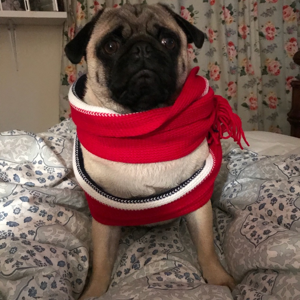 Meet your Posher, Zoe