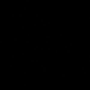 Meet your Posher, Wayne