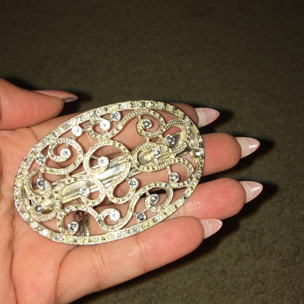Silver hair clip