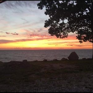 Meet your Posher, Pamela