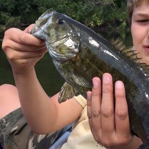 Meet your Posher, Dylan