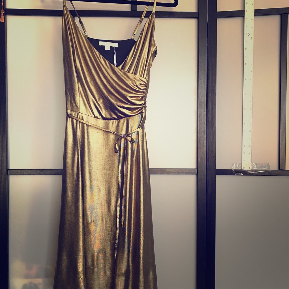 NWT Piperlime party dress