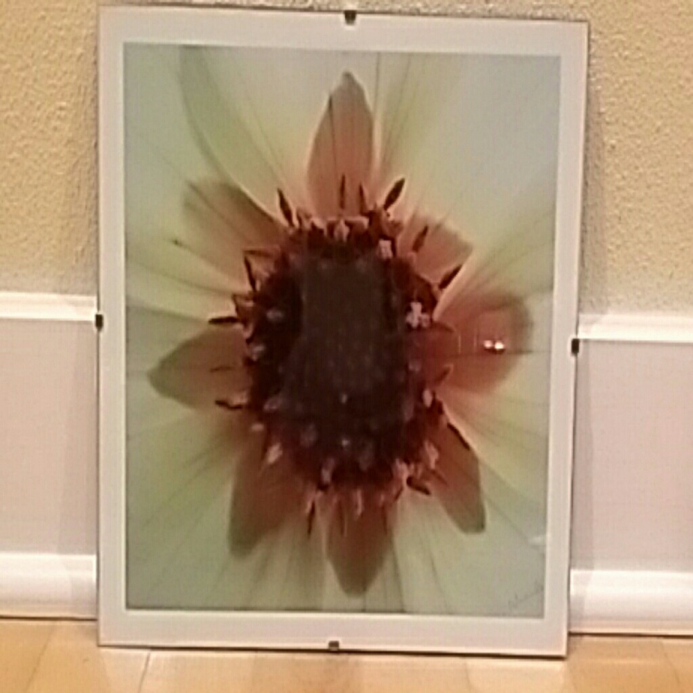 Decor - Picture 3 of 5