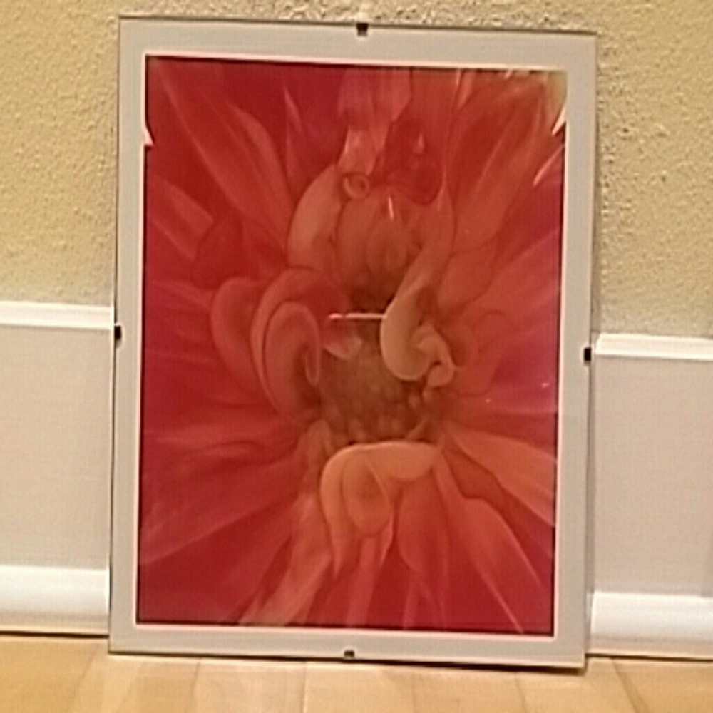 Decor - Picture 2 of 5