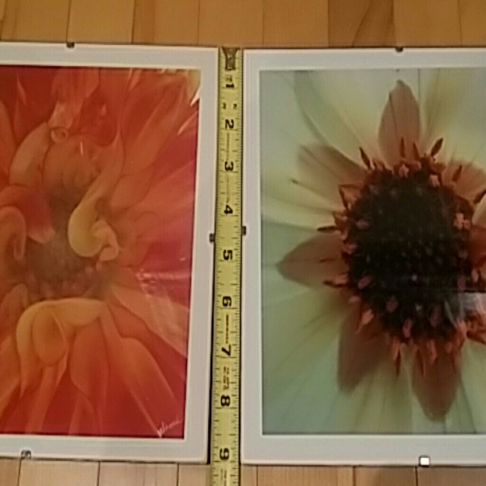 Decor - Picture 4 of 5