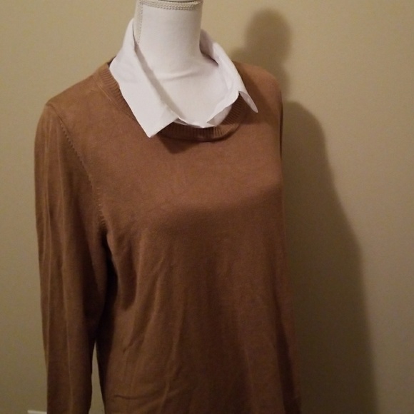 brown sweater with white collar