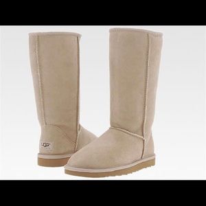 High Cream Ugg boots