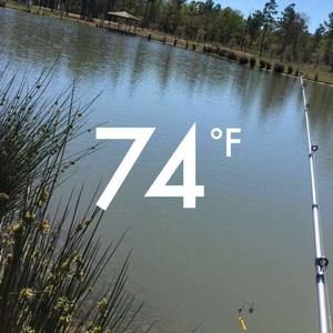 Meet your Posher, Gavin