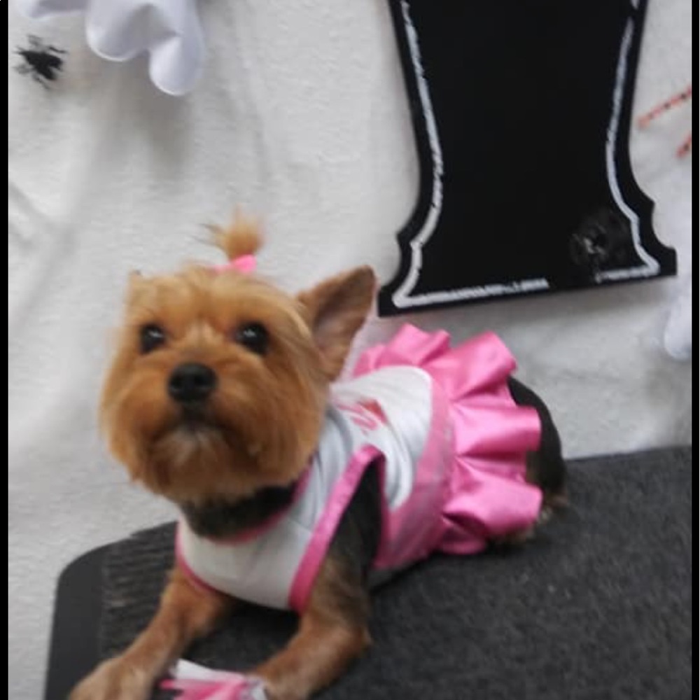 Meet your Posher, Iris