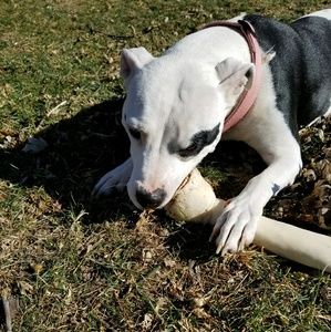 Meet your Posher, Brad