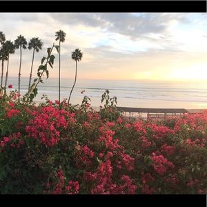 Meet your Posher, Paloma