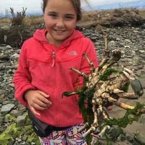 Meet your Posher, Giavonna