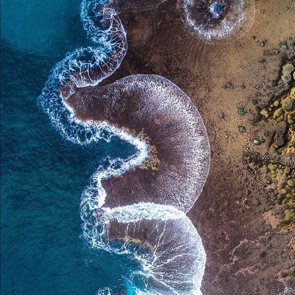 Meet your Posher, Celia - Picture 1 of 1