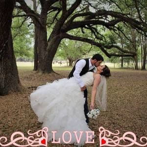 Meet your Posher, Andy