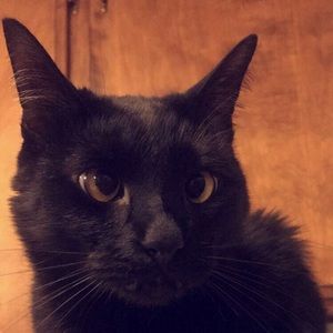 Meet your Posher, Alex