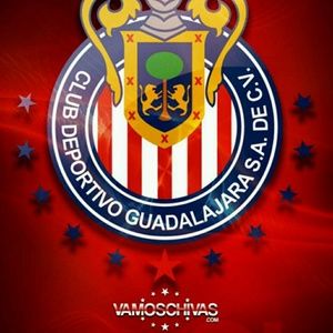 Meet your Posher, Joel