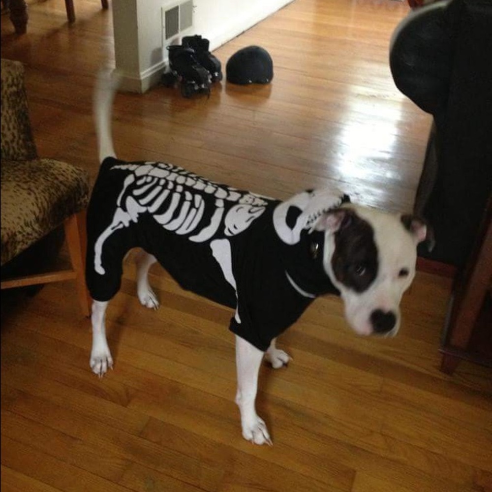 Meet your Posher, Nivea