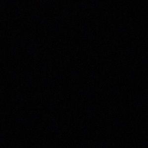 Meet your Posher, Paulina