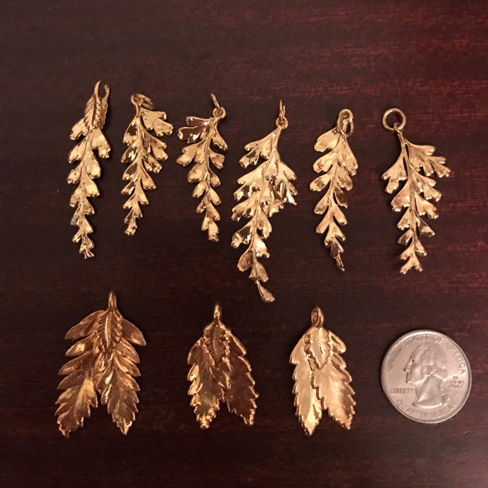 24k gold dipped fern from Hawaii ( pic 1 )