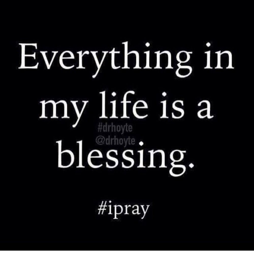 Meet your Posher, Rose