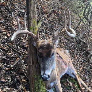 Meet your Posher, Kyle