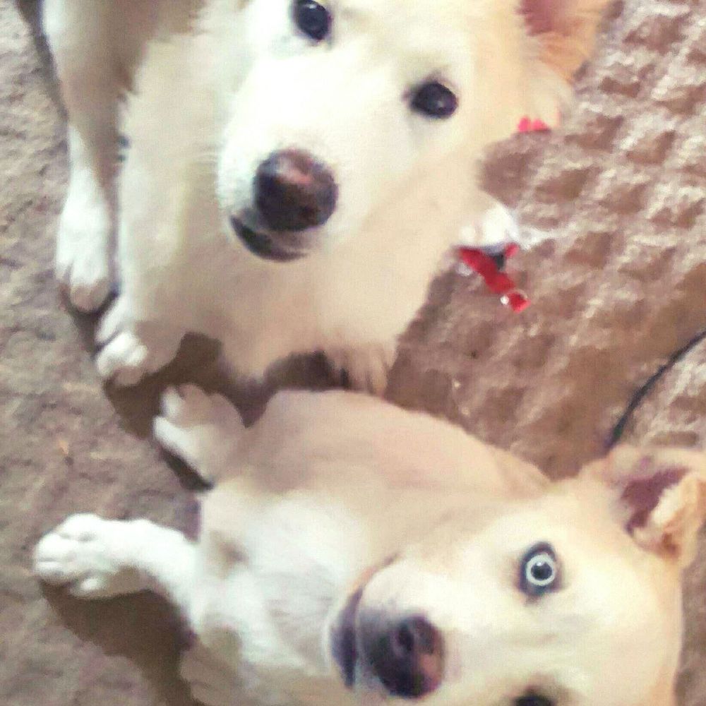 Meet your Posher, Wendy