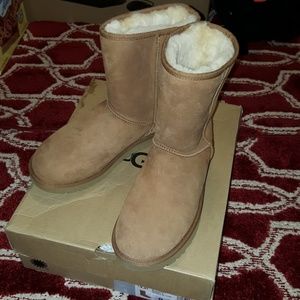 Ugg Boots Brand New