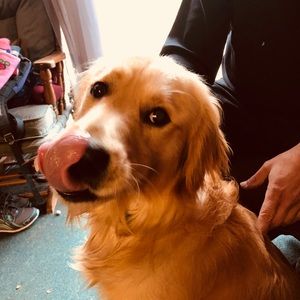 Meet your Posher, Amy