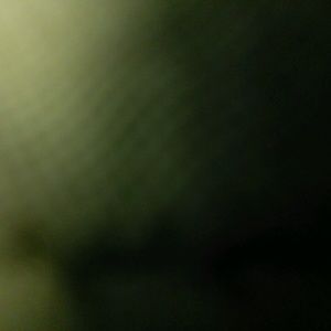 Meet your Posher, Latarus