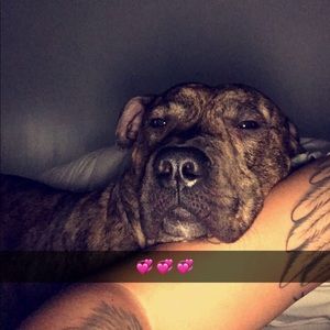 Meet your Posher, Sofia