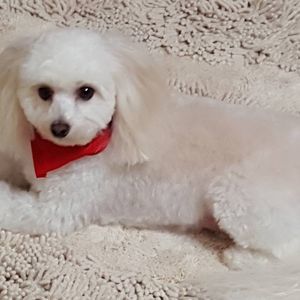 Meet your Posher, Kathy