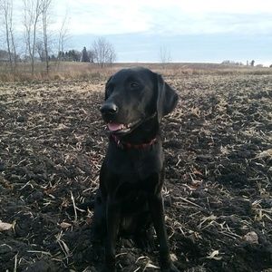 Meet your Posher, Abby