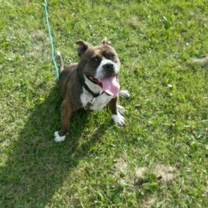 Meet your Posher, Timothy