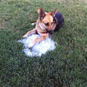 Meet your Posher, Christy