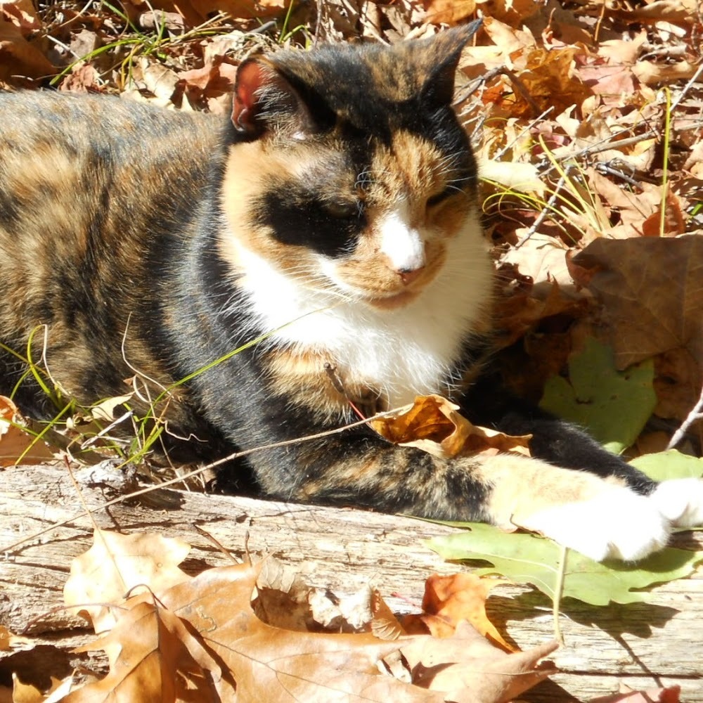 Meet your Posher, Maryellen