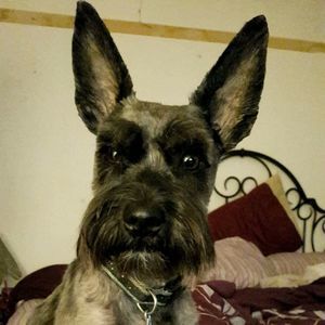 Meet your Posher, Leslea