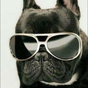 Meet your Posher, Pauline