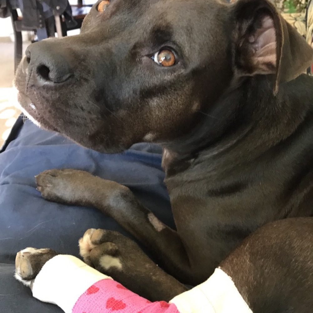 Thank you for your patience!