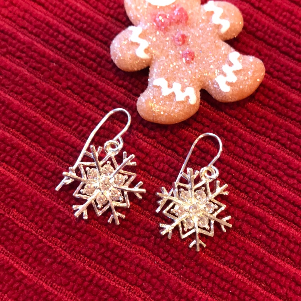 Silver Snowflake earrings