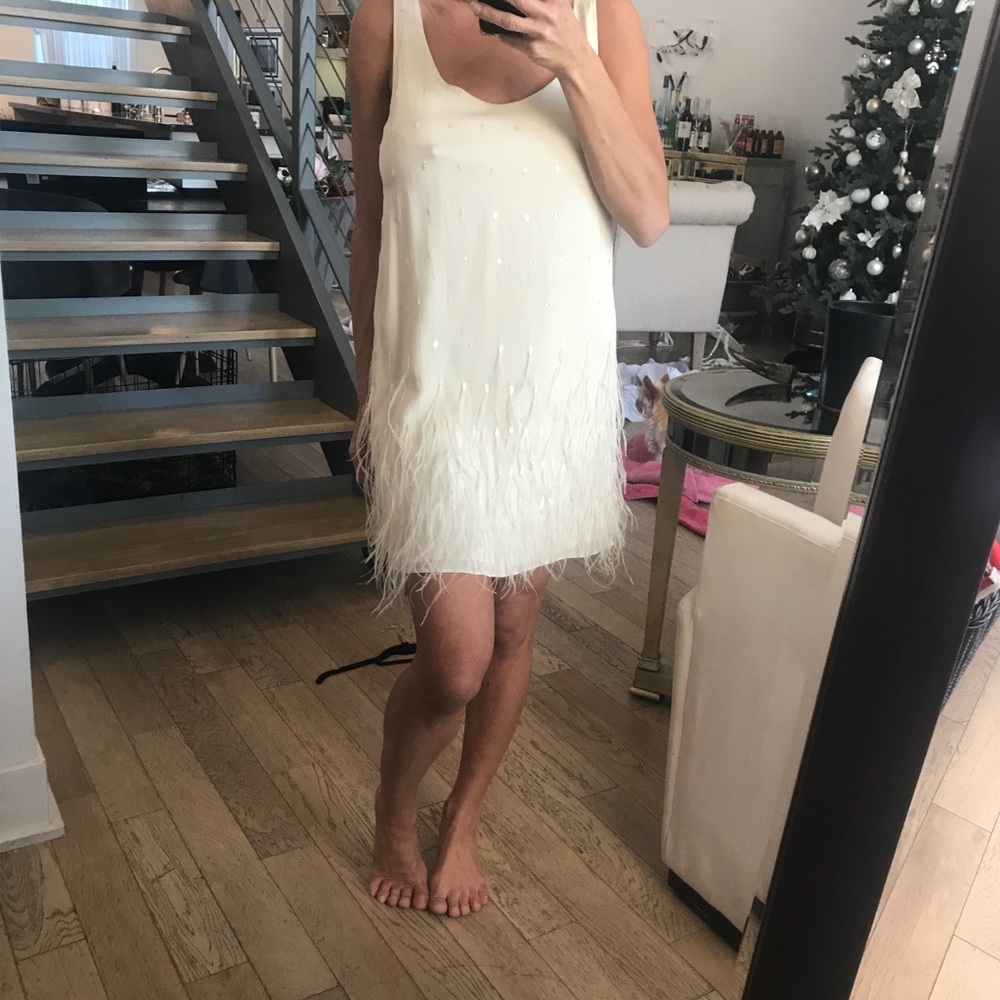 Catherine malandrino shift dress with feathers