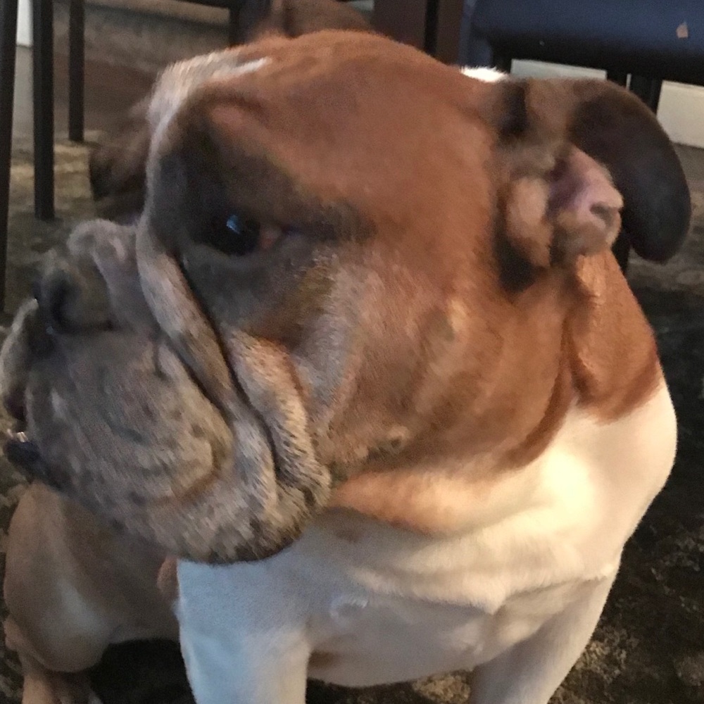 Meet your Posher, Karl