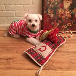 CHARLIE is ready for Christmas • Are you?