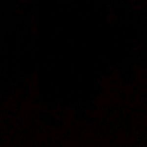 Meet your Posher, Brett